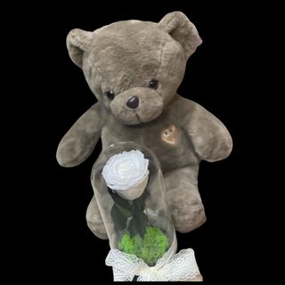 Trandafir Criogenat si Ursulet 2