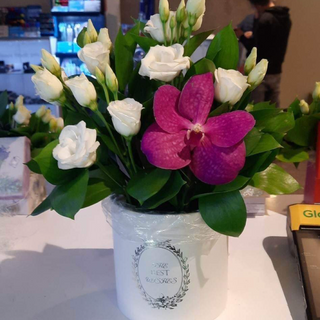Cutie mică cu orhidee și lisianthus 