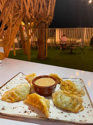 Gyozas De Pollo De Corral Con Aliño Japonés (6 Uds.)