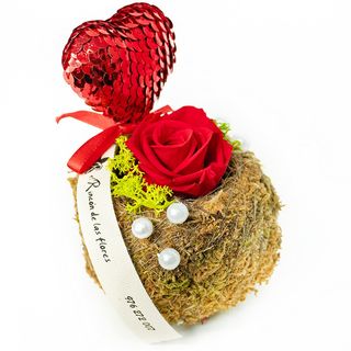 Kokedama  con rosita eterna