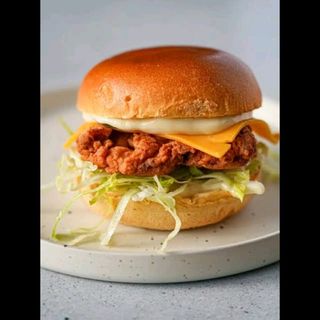 Chicken Burger  with fries 