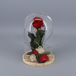 Cúpula de rosa eterna