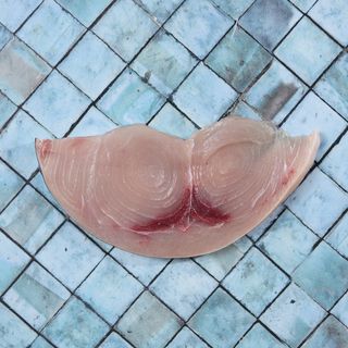 Fetta di pesce spada - un pezzo