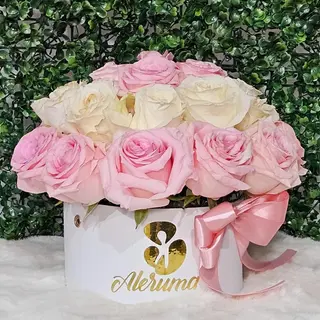 Box primavera 