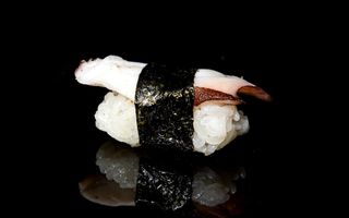 N07. Polipo - 2 pezzi