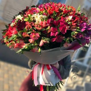 ასტრომერიები