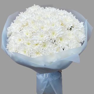 Bukiet białej margaretki 