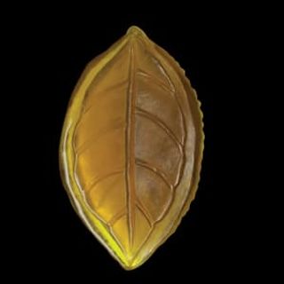 Ceylon tea & ylang - sapun frunza