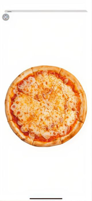 Pizza Especial De La Casa (33 Cm.)