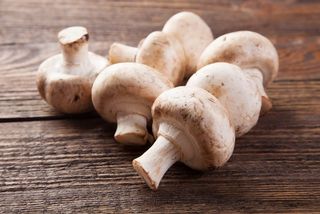 ქამა სოკო 0.5კგ