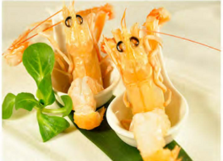 Scampi exotic