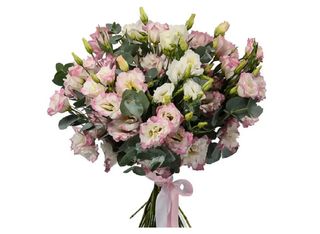 15 Еустоми, Розови | 1 piece