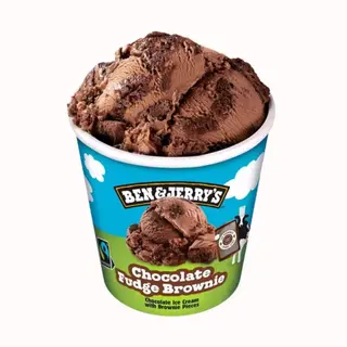 B&J's Chocolate Fudge Brownie