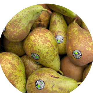 Pera conferencia rincón del soto 1 kilo