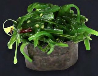 234. Gunkan wakame 1 pezzo