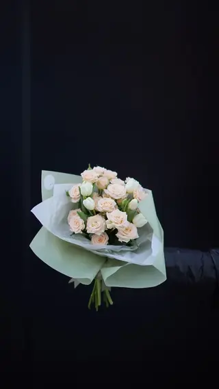 კრემისფერი სპრეი ( 7 ) 