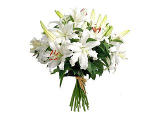 15 Лилиума, бели | 1 pieces