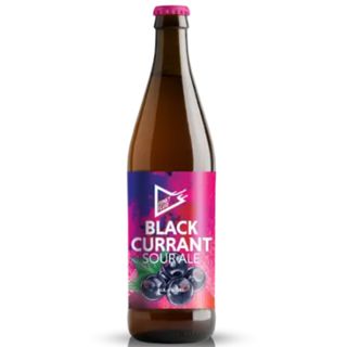 Cerveza Funky Fluid Black Currant 50Cl