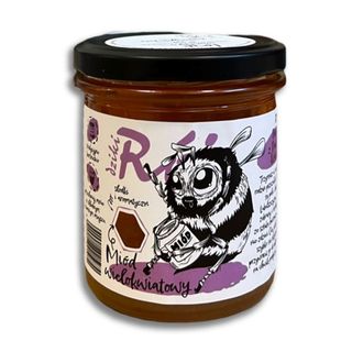 Miód Wielokwiatowy 400g Dziki Rój