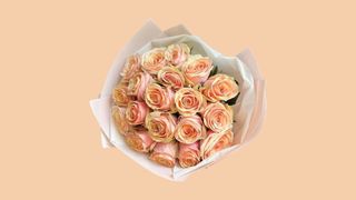 19 ცალი ნათელი ემოცია