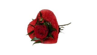 Różyczka ”Kocham Cię”