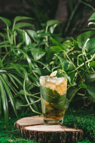 КИВИ-АПЕЛЬСИН  (400 мл.)