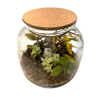 Las w słoiku rozmiar M