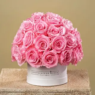 baby pink luxury dial