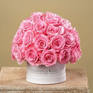 baby pink luxury dial