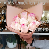 Premium Bordées Roses 7