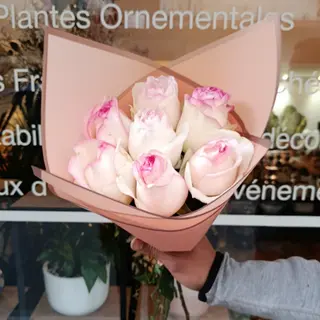 Premium Bordées Roses 7