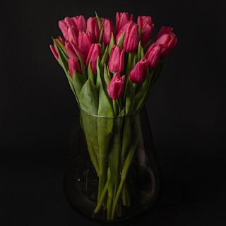 Ramo De 10 Tulipanes Rosas