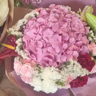 Bouquet Belle Hortensia 