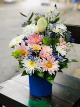 ფერადი შერეული კოლოფი 