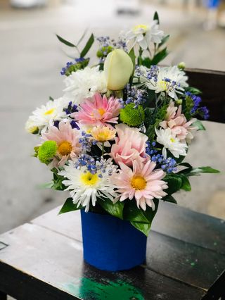 ფერადი შერეული კოლოფი 