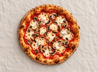 Funghi