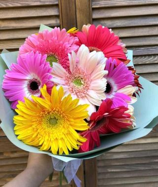 ფერადი N2