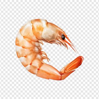 Creveți în sos de roșii