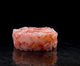 Tartare di gambero