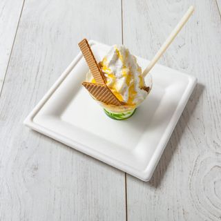 Yogurt frozen bianco medio