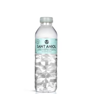 Agua Sant Aniol 330 ml
