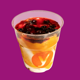 Yogurt Senza lattosio base croccante + 2 gusti + 1 granella