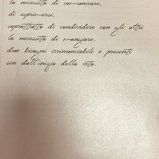 Filetto di manzo  alla griglia cavolo nero croccante  riduzione  vino rosso