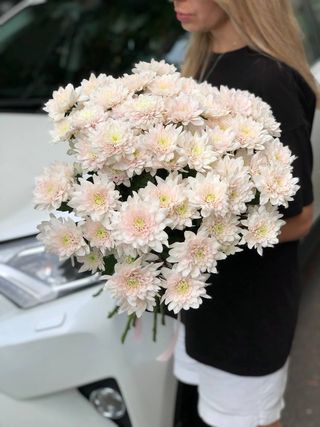 Букет 11 хризантем Пастелла