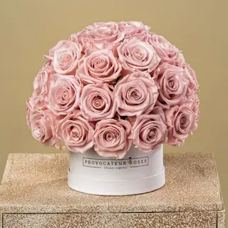 Dusty Rose Luxury Dial