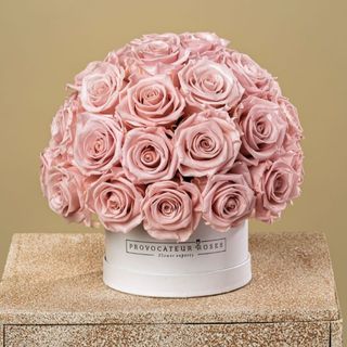 Dusty Rose Luxury Dial