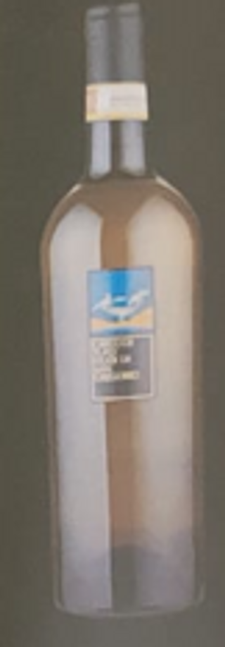 Feudi San Gregorio Greco Di Tufo D.O.C.G