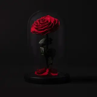 Rosa eterna eón cúpula bella & bestia 