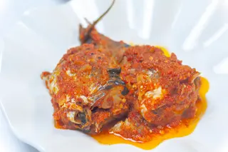 Stew Titus