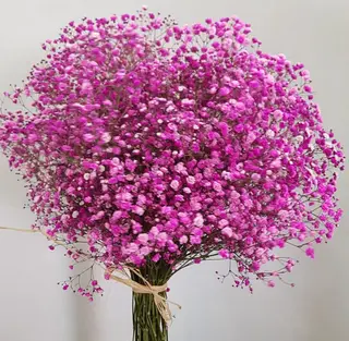 Ramo Nube Fucsia